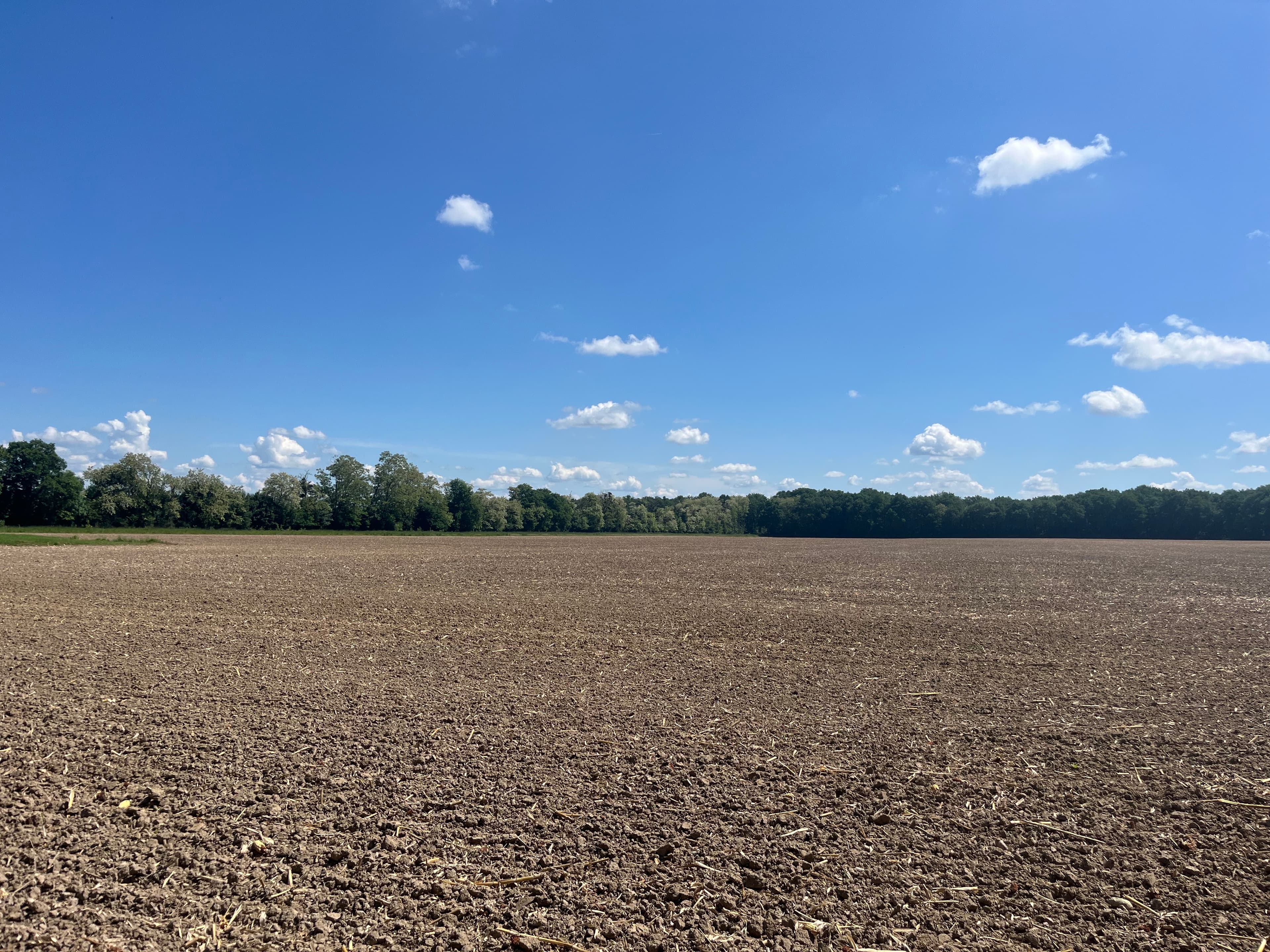 Terres agricoles - 205.0 ha - Descartes - Image 4