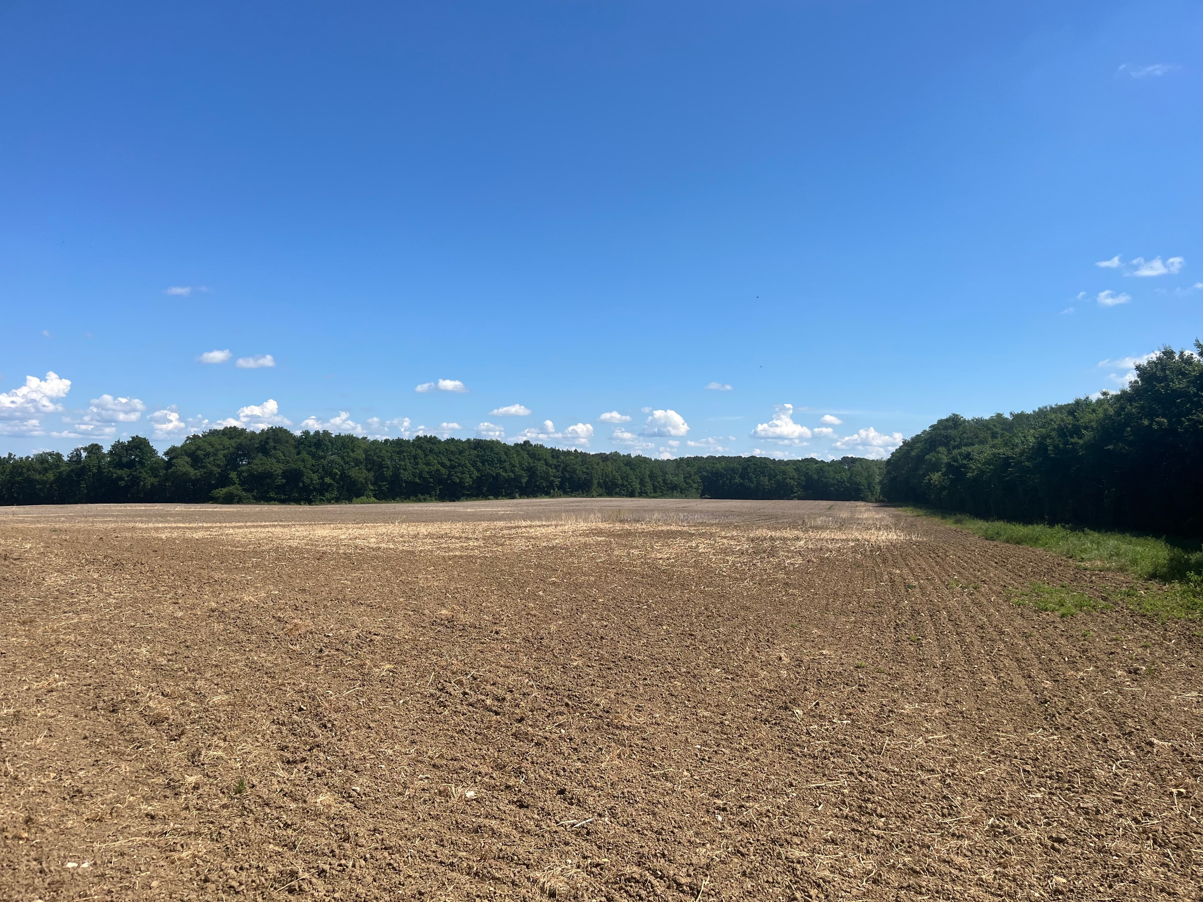 Terres agricoles - 205.0 ha - Descartes - Image 3