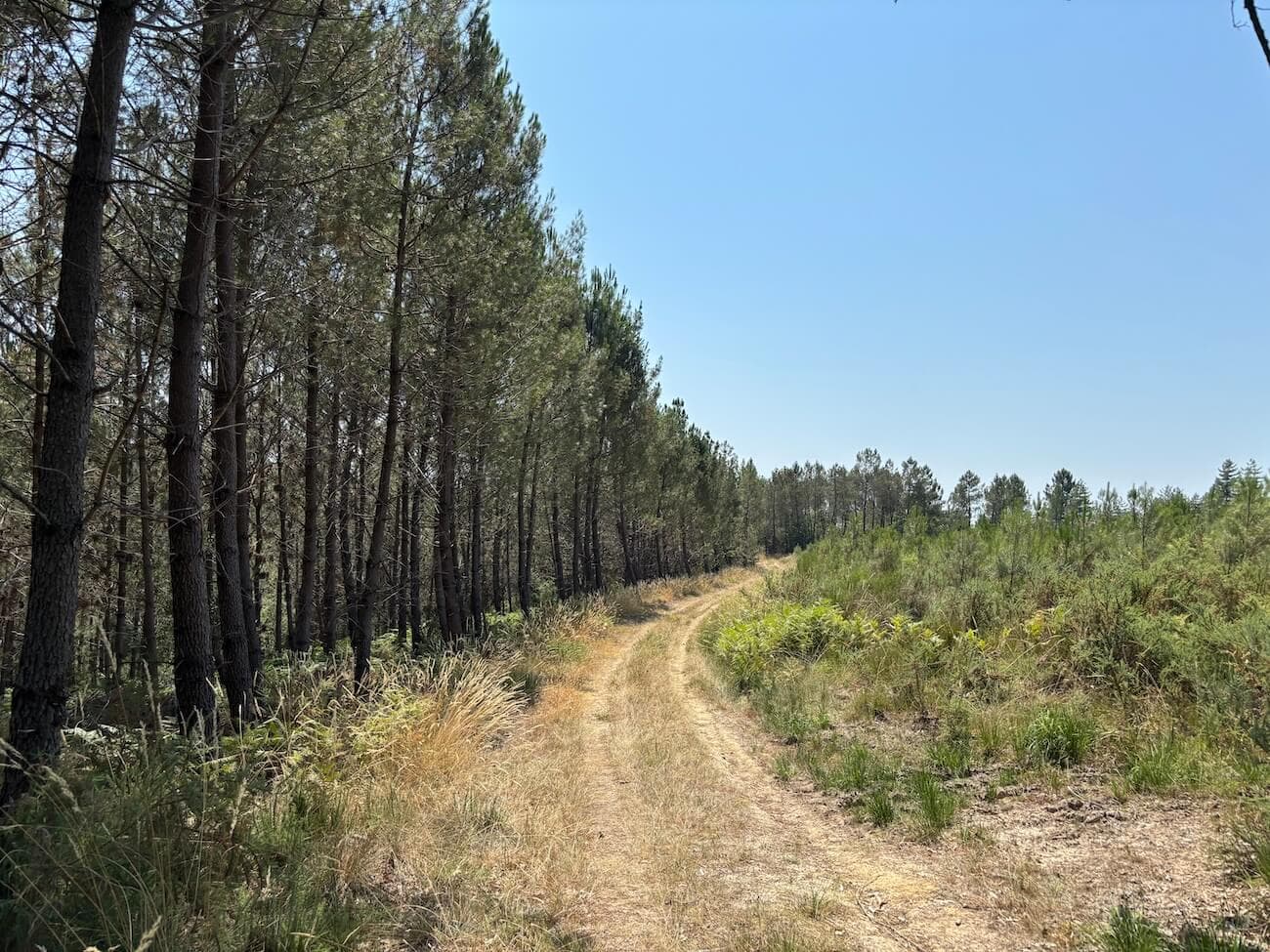 FORÊT MIXTE À FORT POTENTIEL CYNÉGÉTIQUE - DORDOGNE - Image 2