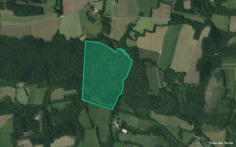 Forêt mixte à bon potentiel dans le Morbihan - Image 12