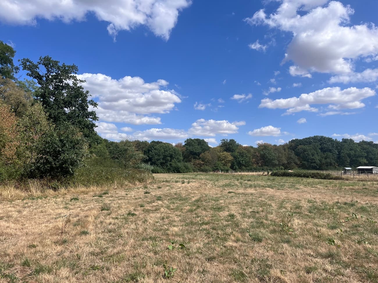 Belle forêt de feuillus de 33 ha - Image 11