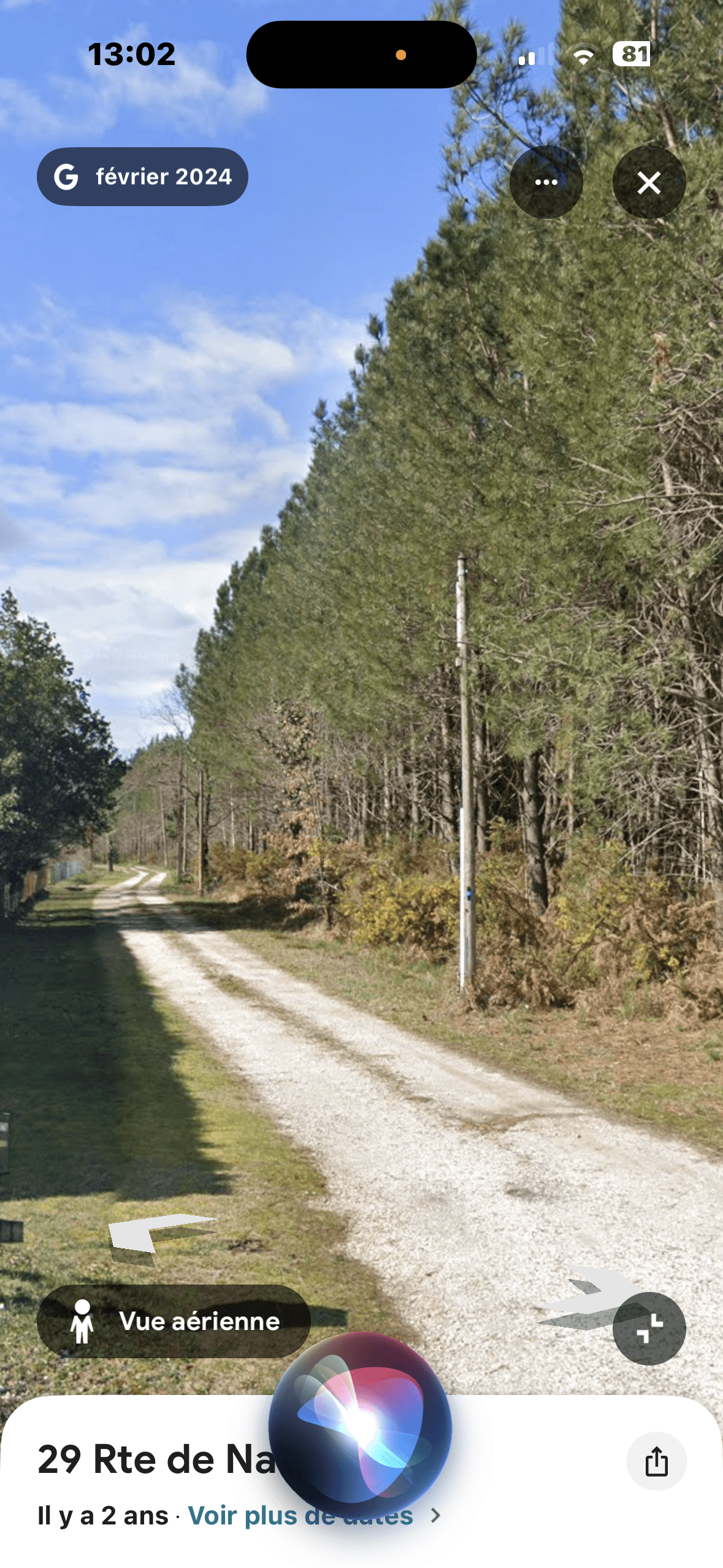 Forêt - 1.3 ha - Gaillan-en-Médoc