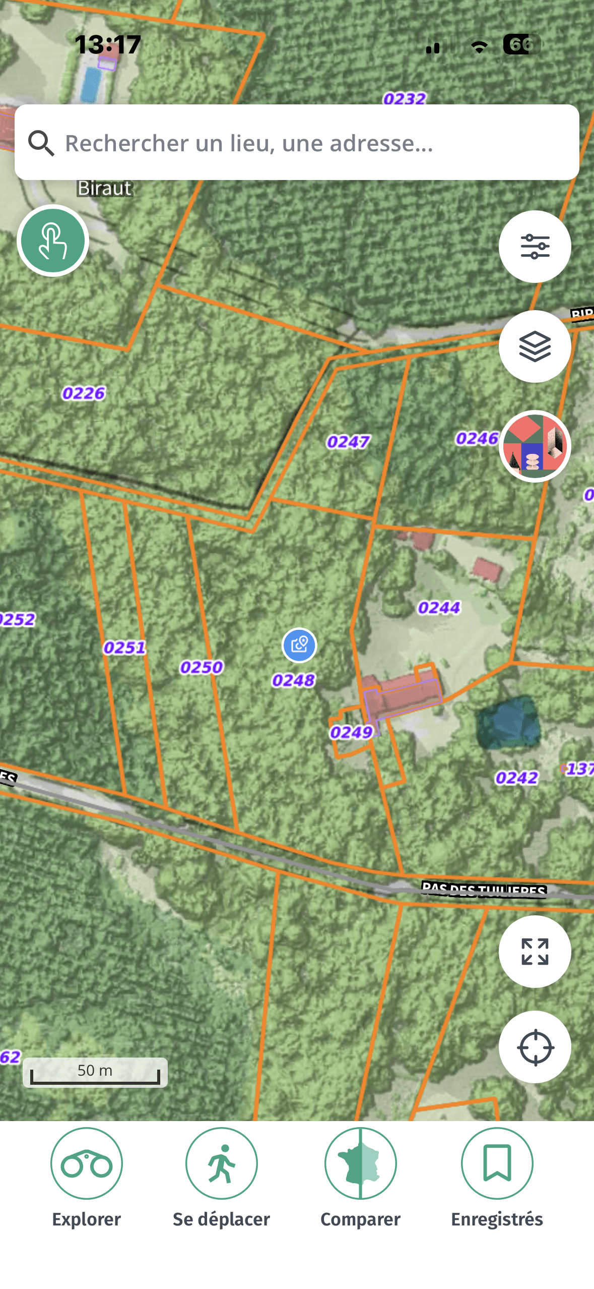 Forêt - 1.3 ha - Gaillan-en-Médoc - Image 2