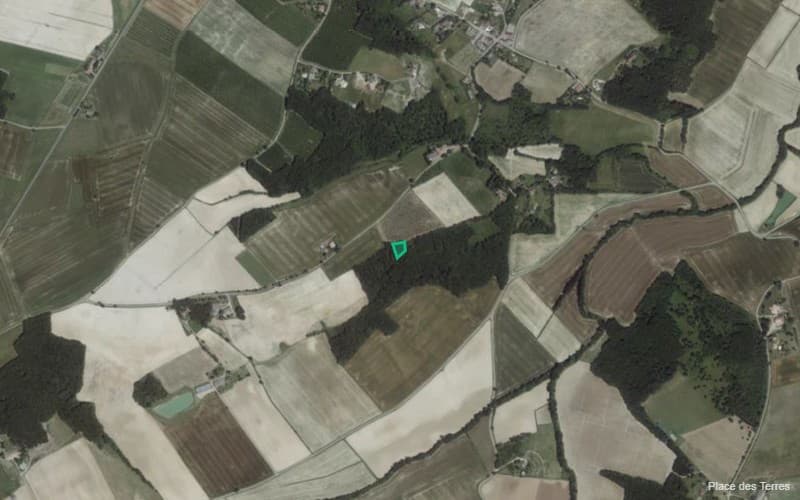 Forêt - 0.2 ha - Saint-Arroumex - Image 2