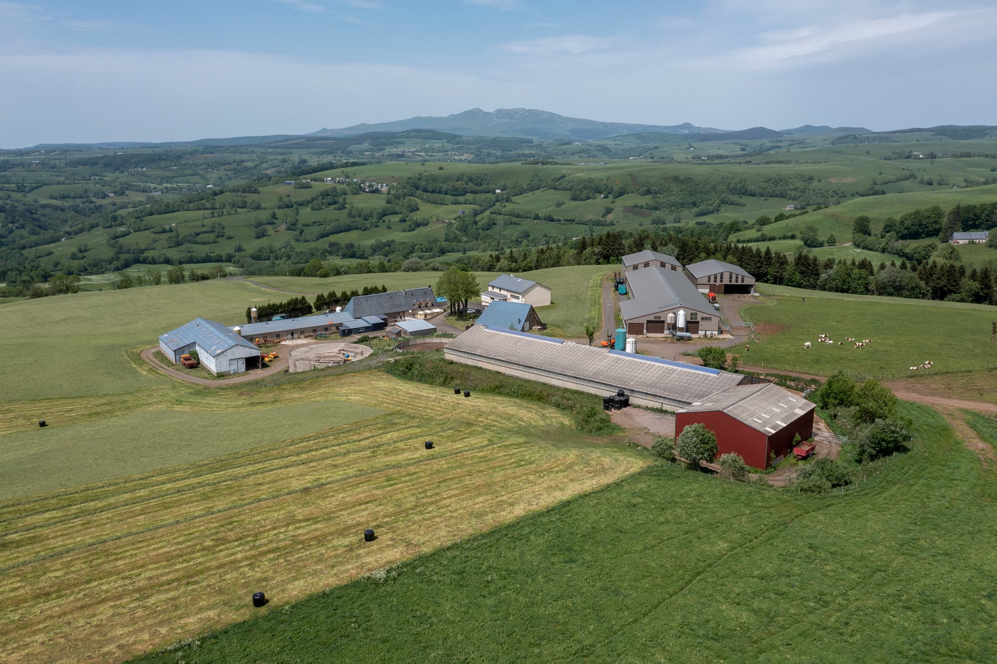 Exploitation modèle fabrication fromagère - 174.0 ha - Chanterelle - Image 2