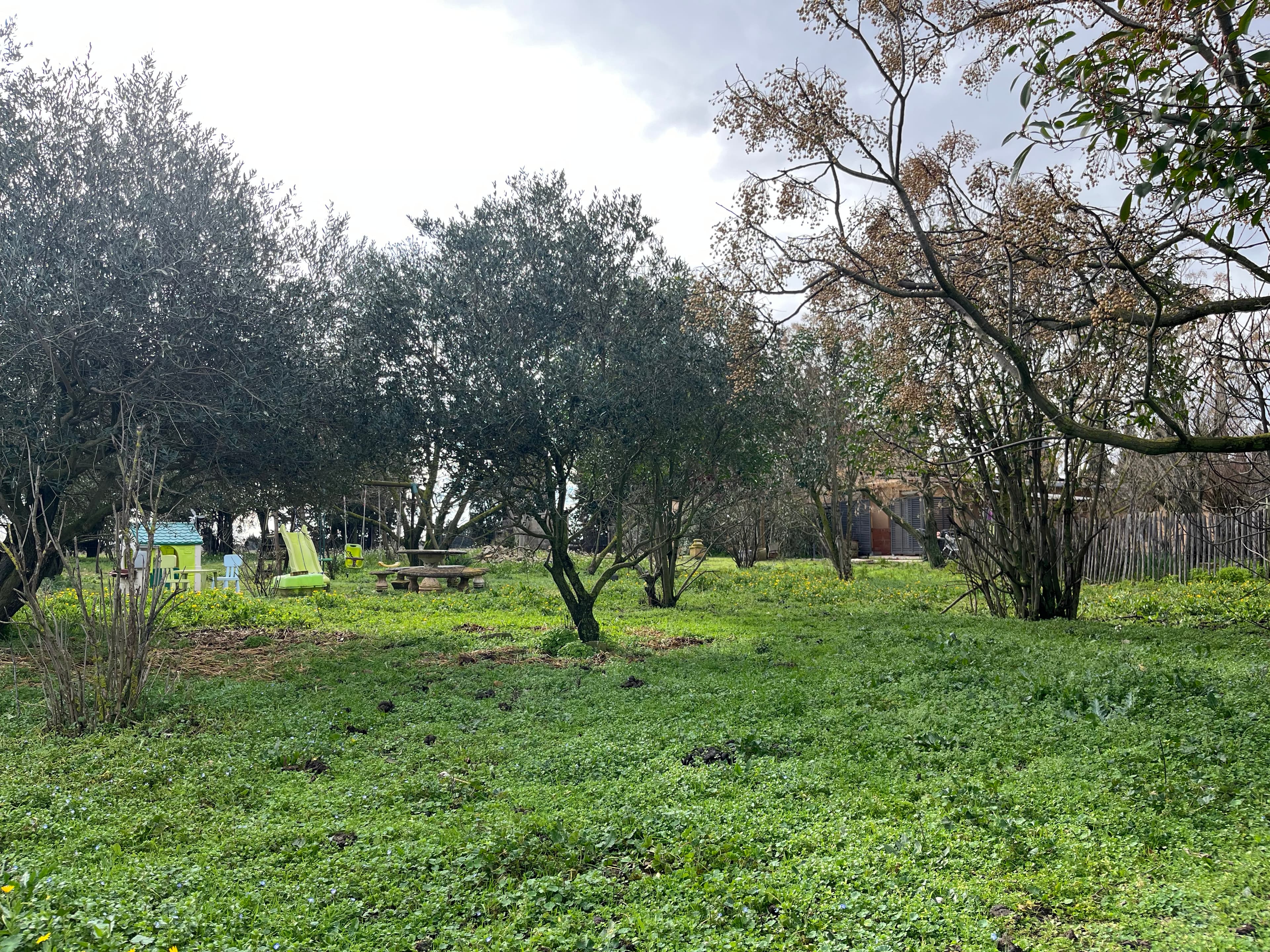 Terres agricoles - 1.9 ha - Marguerittes - Image 5