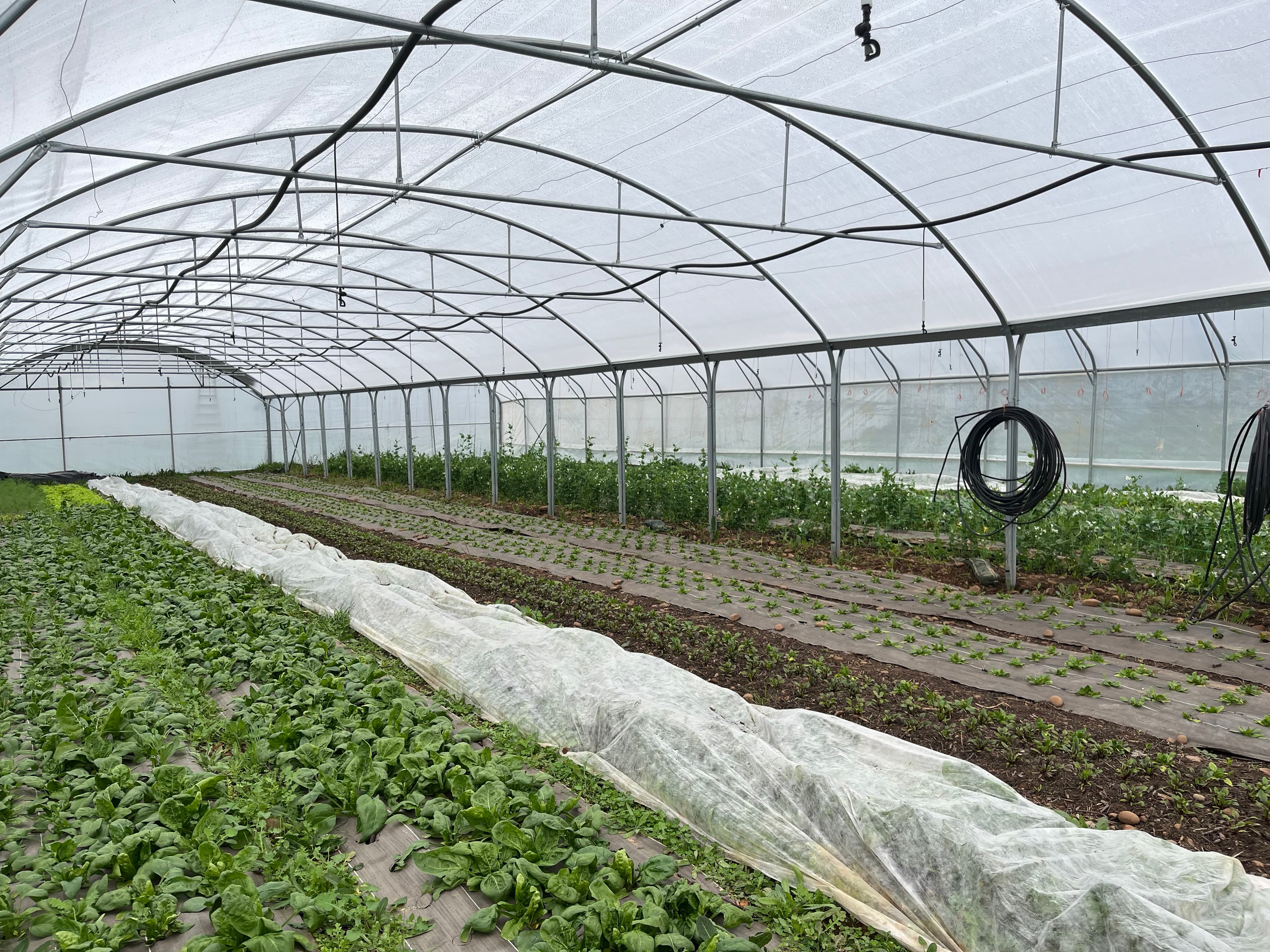 Terres agricoles - 1.9 ha - Marguerittes - Image 2