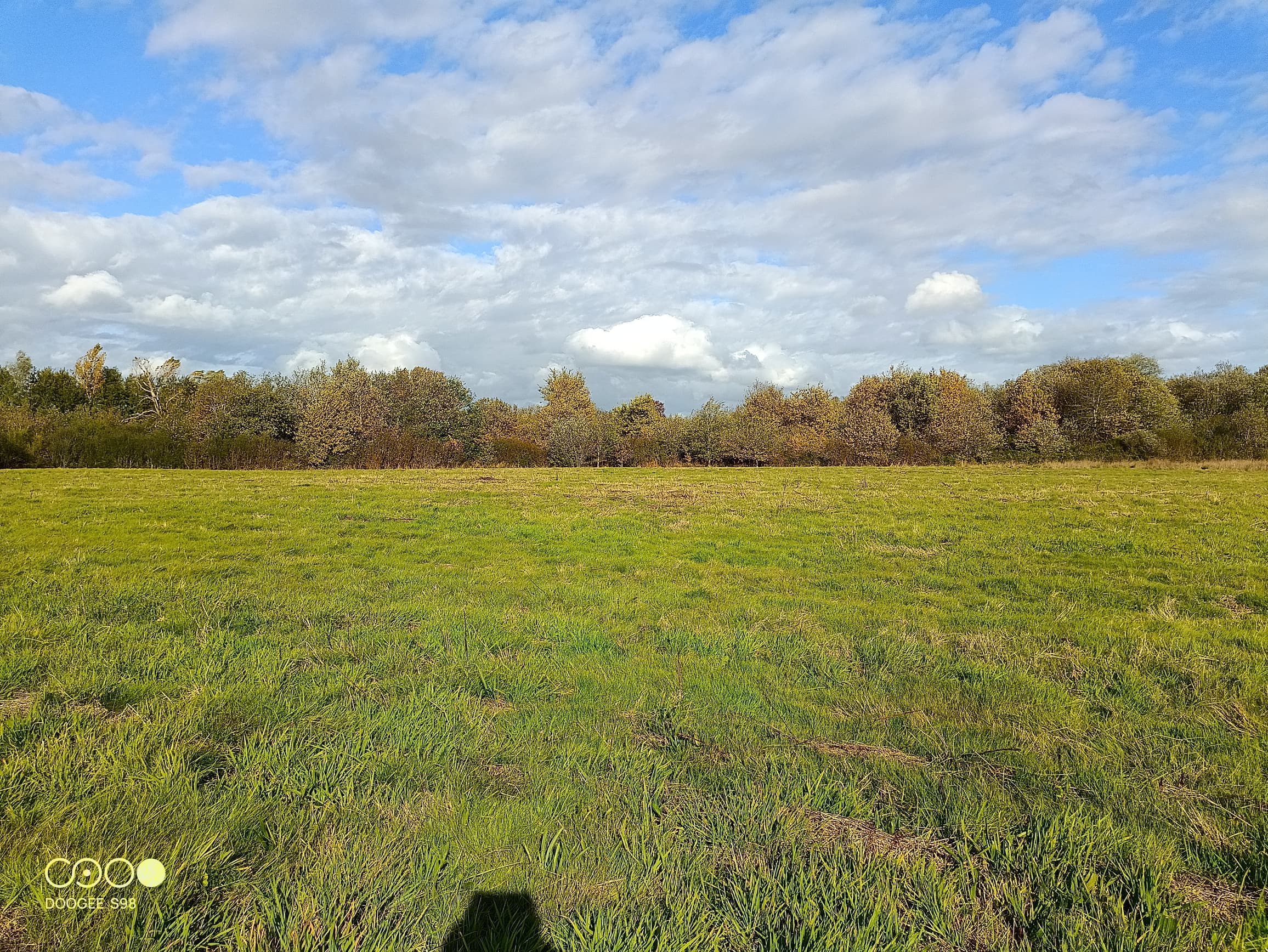 Terres agricoles - 15.4 ha - Aire-sur-l'Adour - Image 4