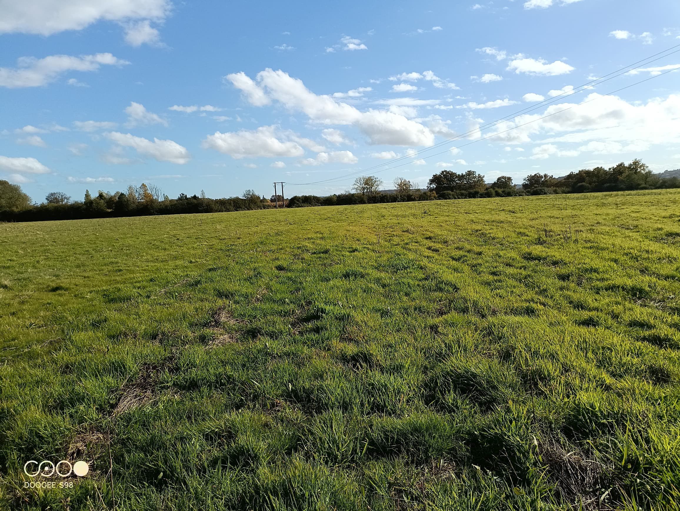 Terres agricoles - 15.4 ha - Aire-sur-l'Adour