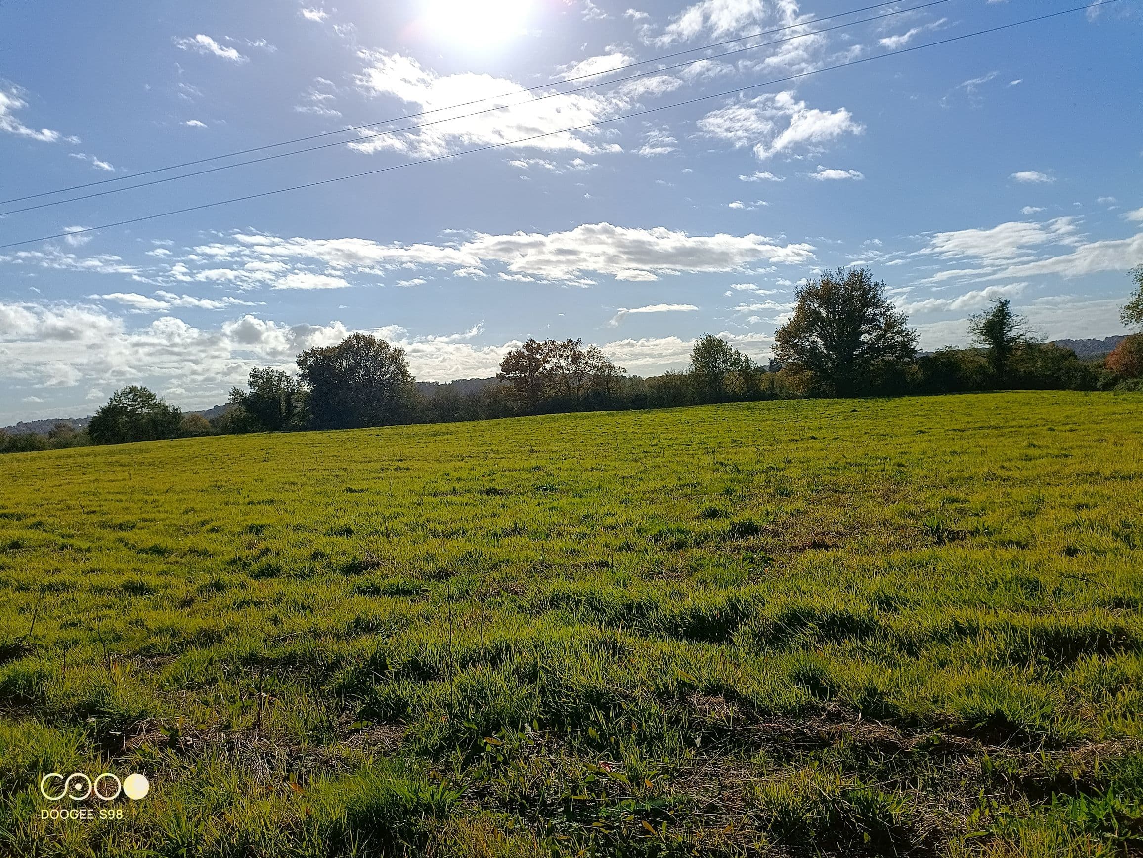 Terres agricoles - 15.4 ha - Aire-sur-l'Adour - Image 3