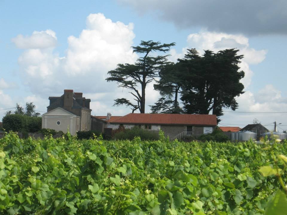 Terres agricoles - 3.9 ha - 44690