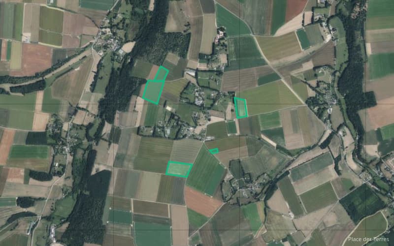 Terres de polyculture-élevage - 14.5 ha - Lammerville - Image 5