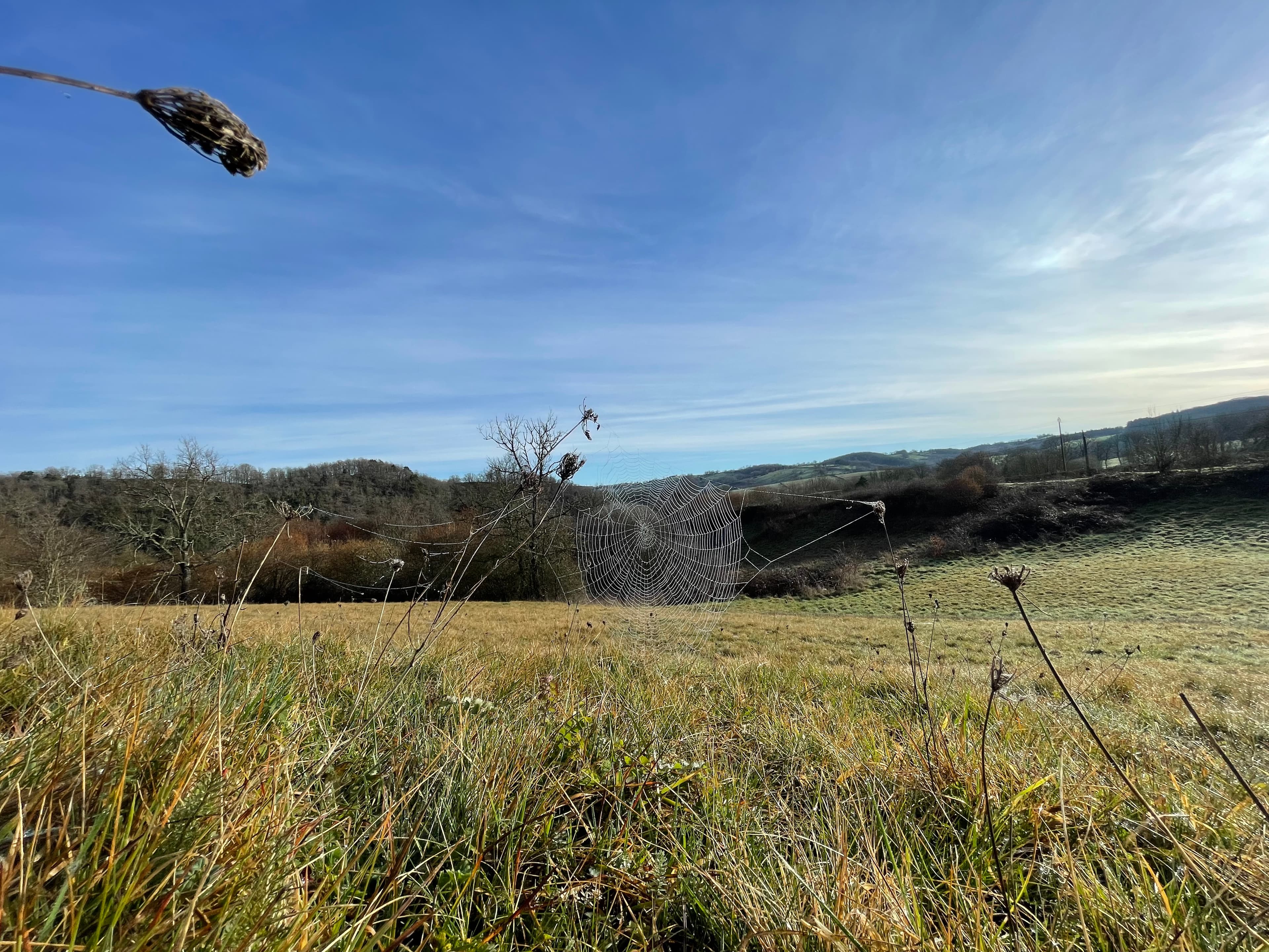 Terres agricoles - 22.4 ha - Rue le Petit Cossange