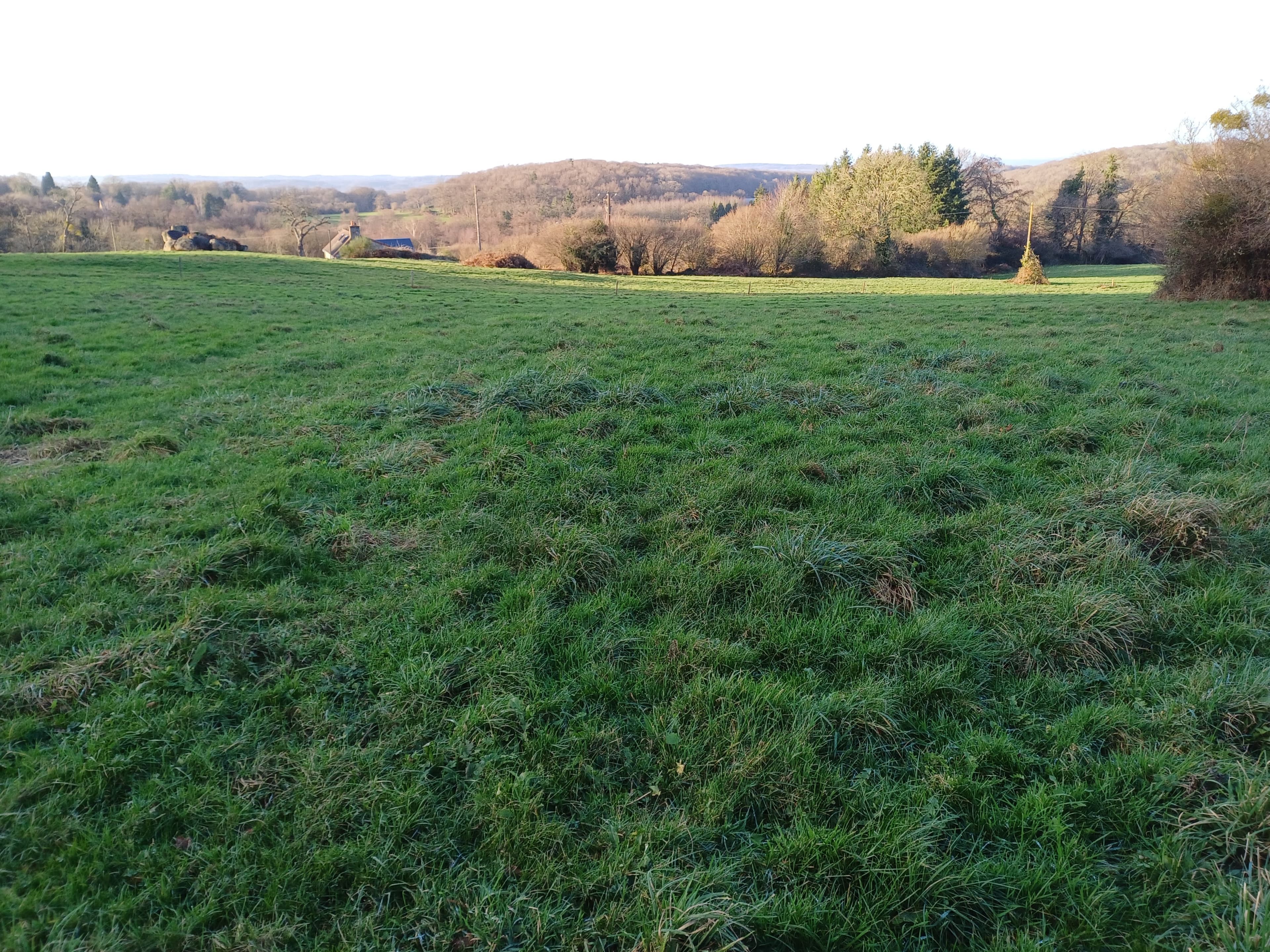 Terres agricoles - 1.9 ha - Sainte-Honorine-la-Guillaume