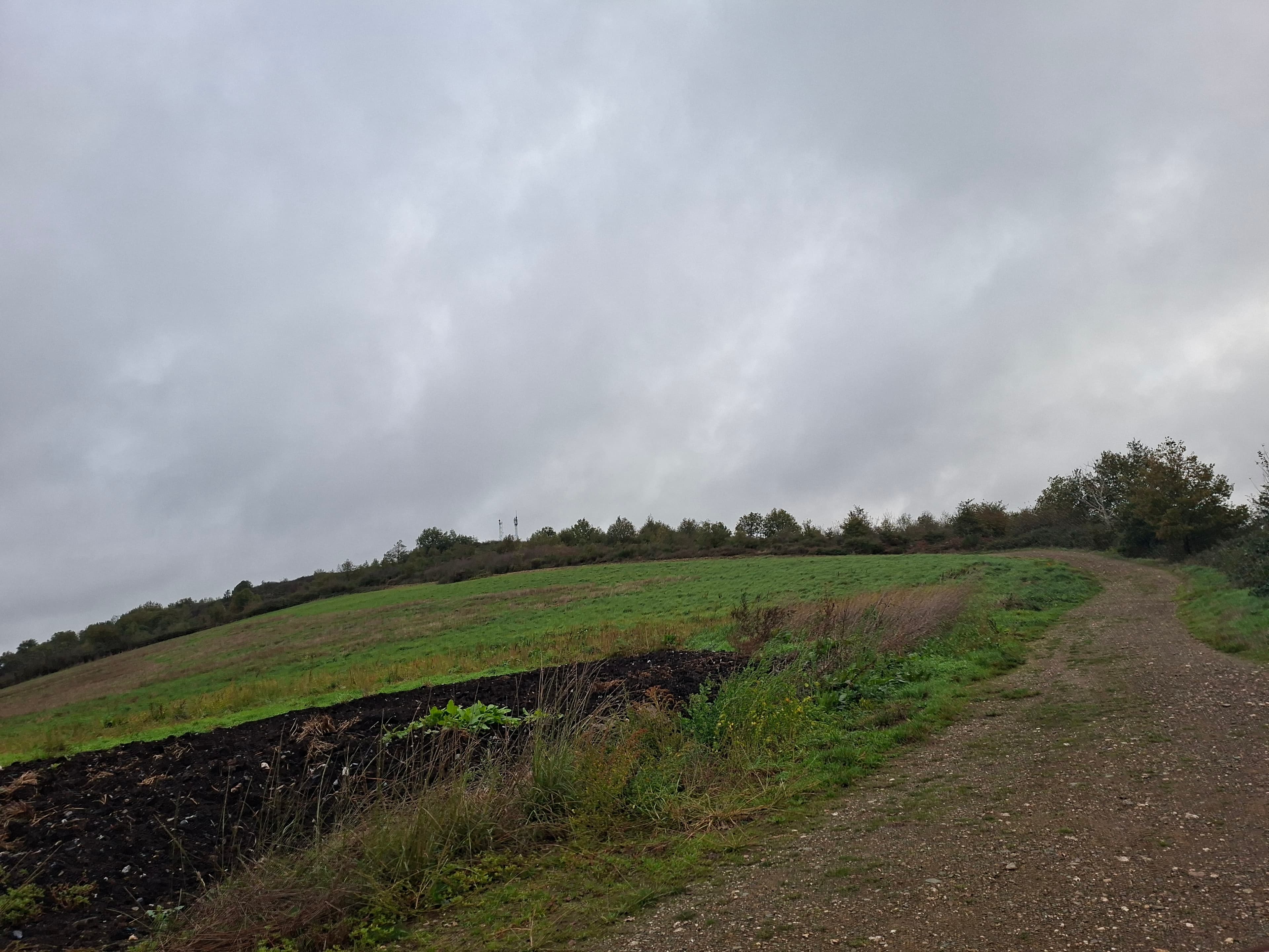 Forêt - 5.7 ha - Ambialet - Image 2