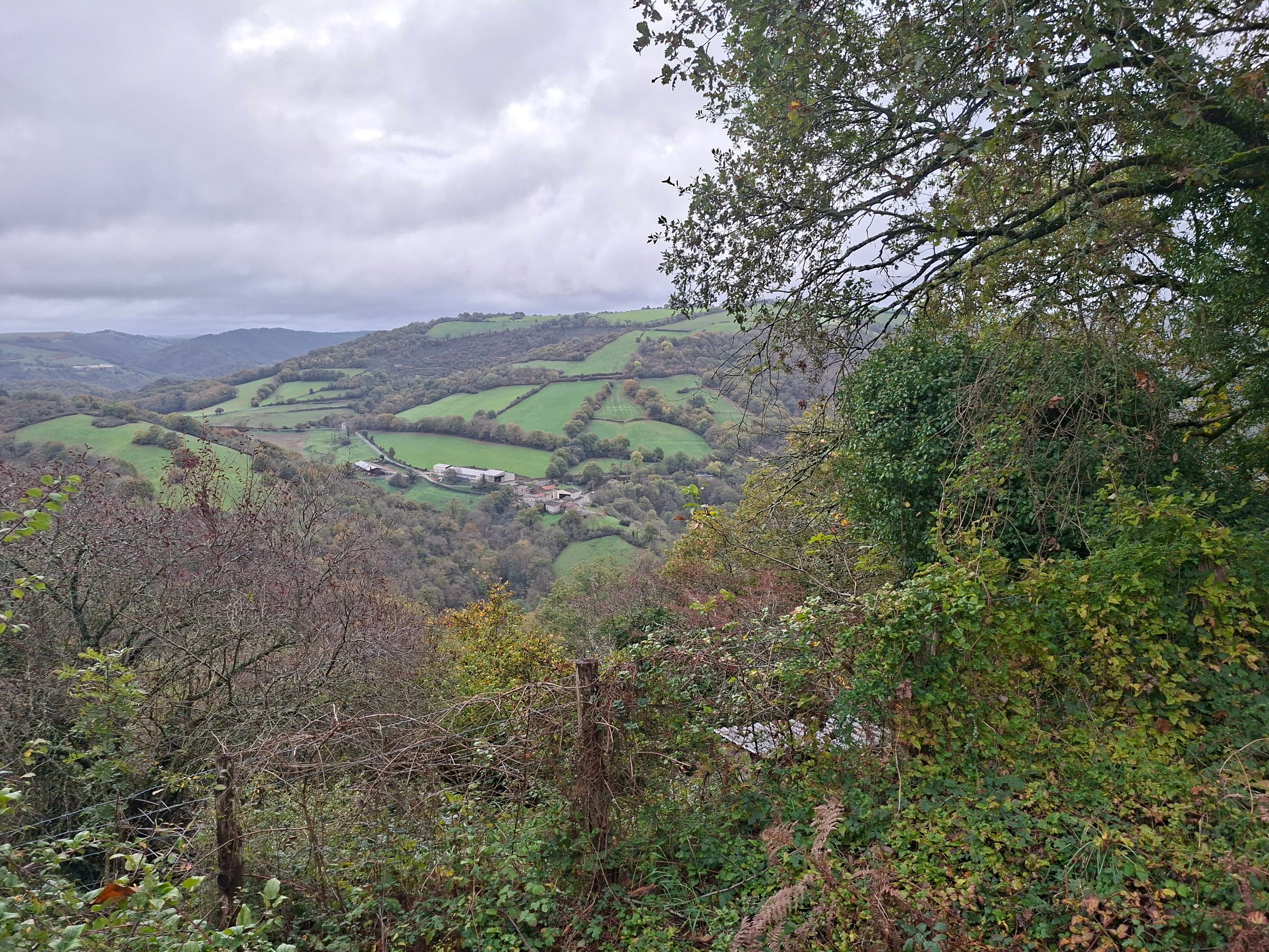 Forêt - 5.7 ha - Ambialet - Image 3