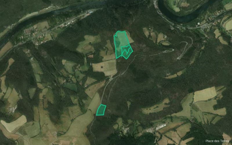 Forêt - 5.7 ha - Ambialet - Image 4