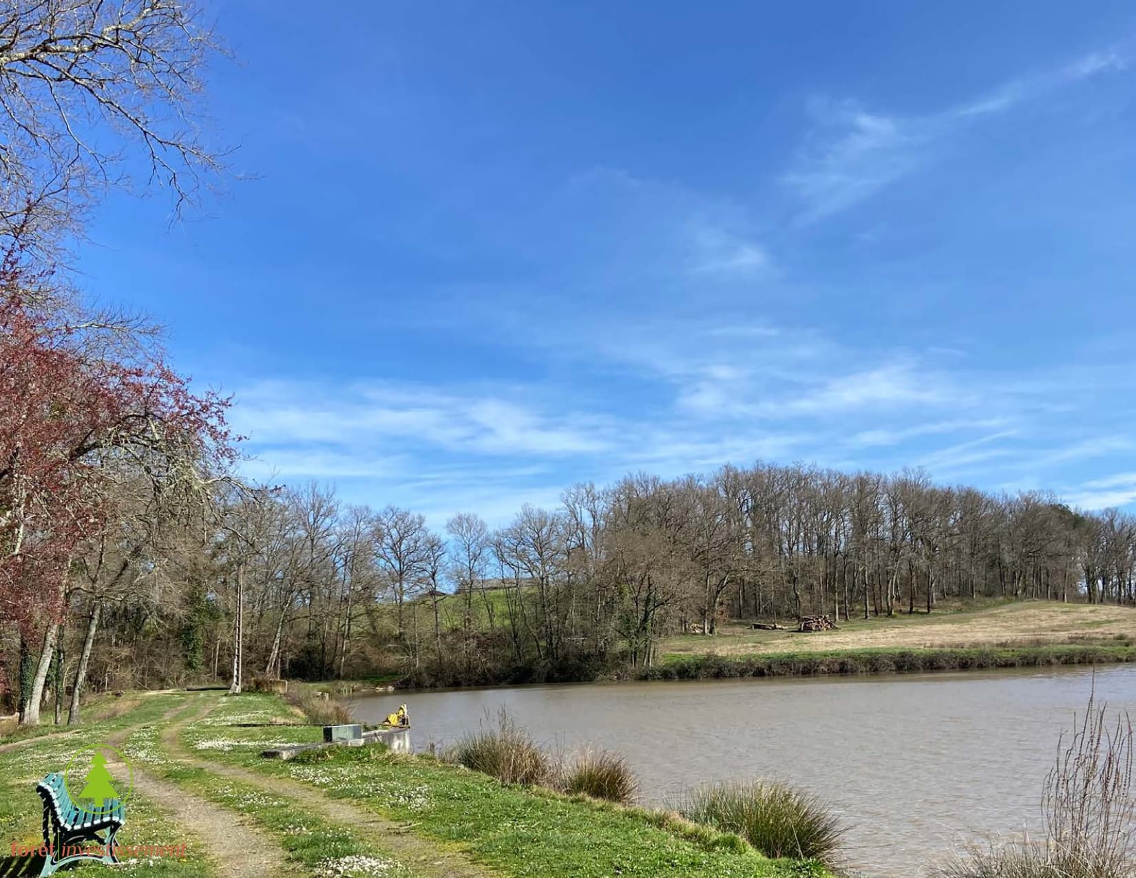 Forêt - 57 ha - Mont-de-Marsan - Image 12