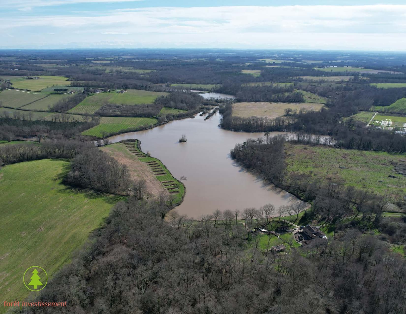 Forêt - 57 ha - Mont-de-Marsan - Image 6