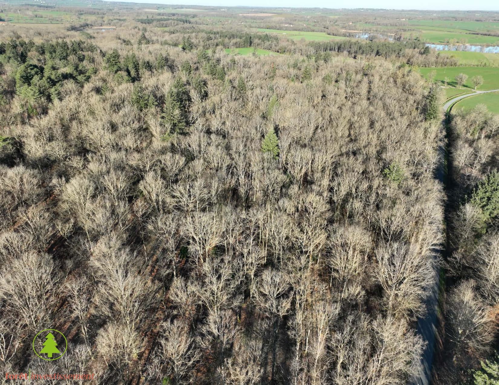 Forêt - 39.0 ha - Vitray - Image 4