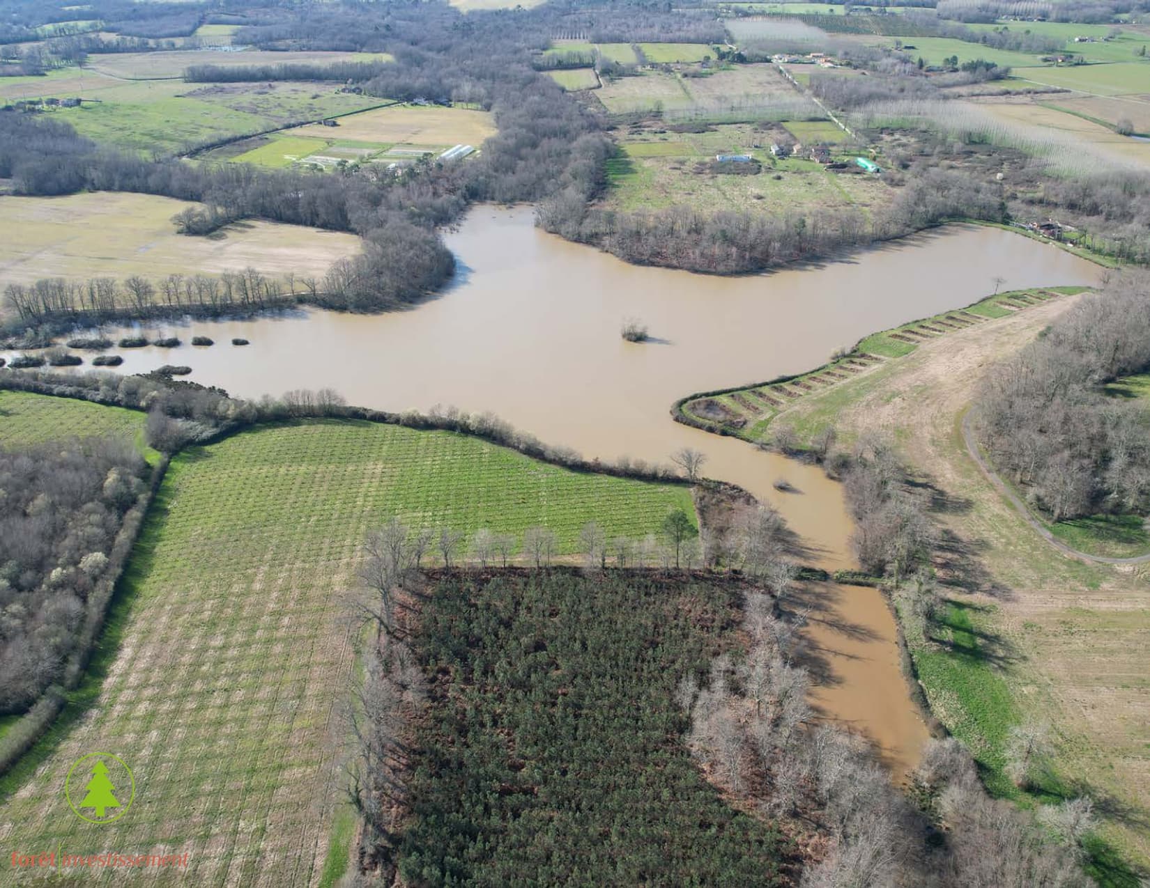 Forêt - 57 ha - Mont-de-Marsan - Image 7