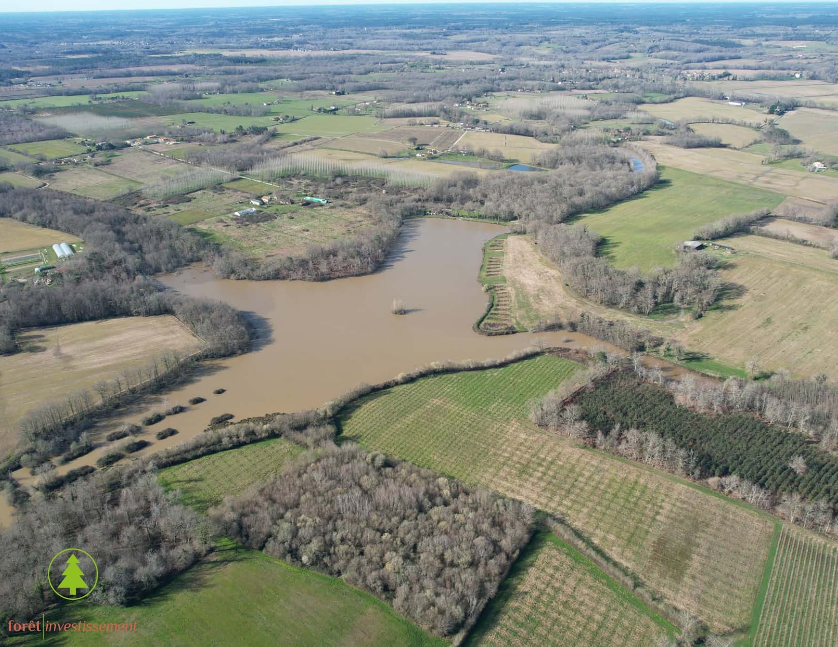 Forêt - 57 ha - Mont-de-Marsan - Image 4