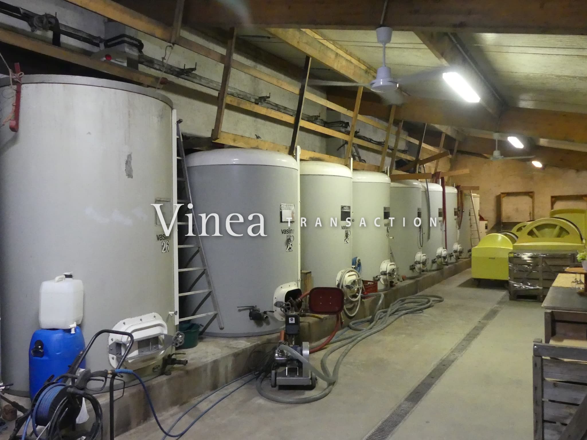Domaine agricole ou viticole de 10ha et 3ha de bois - Image 2