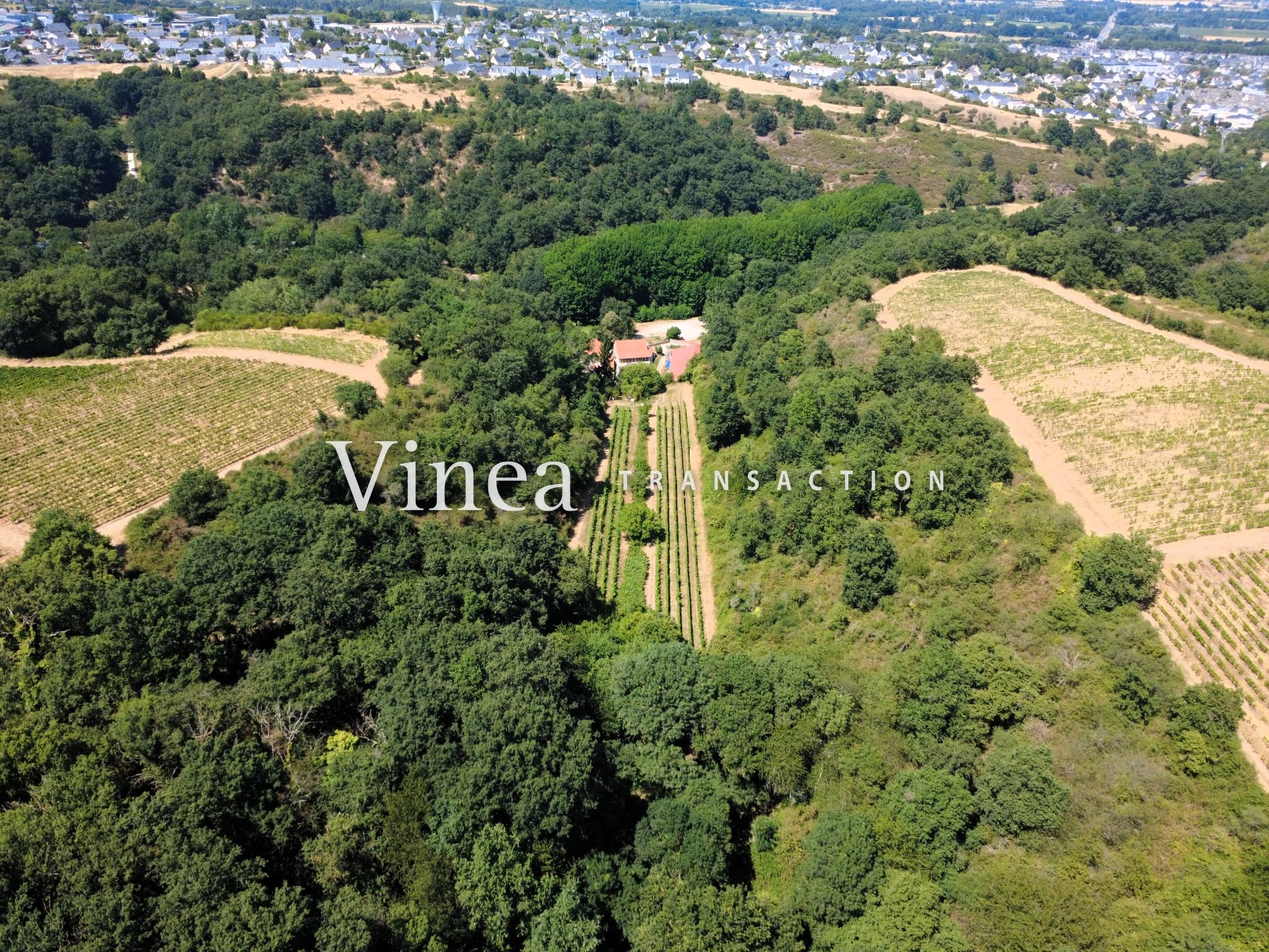 Domaine agricole ou viticole de 10ha et 3ha de bois