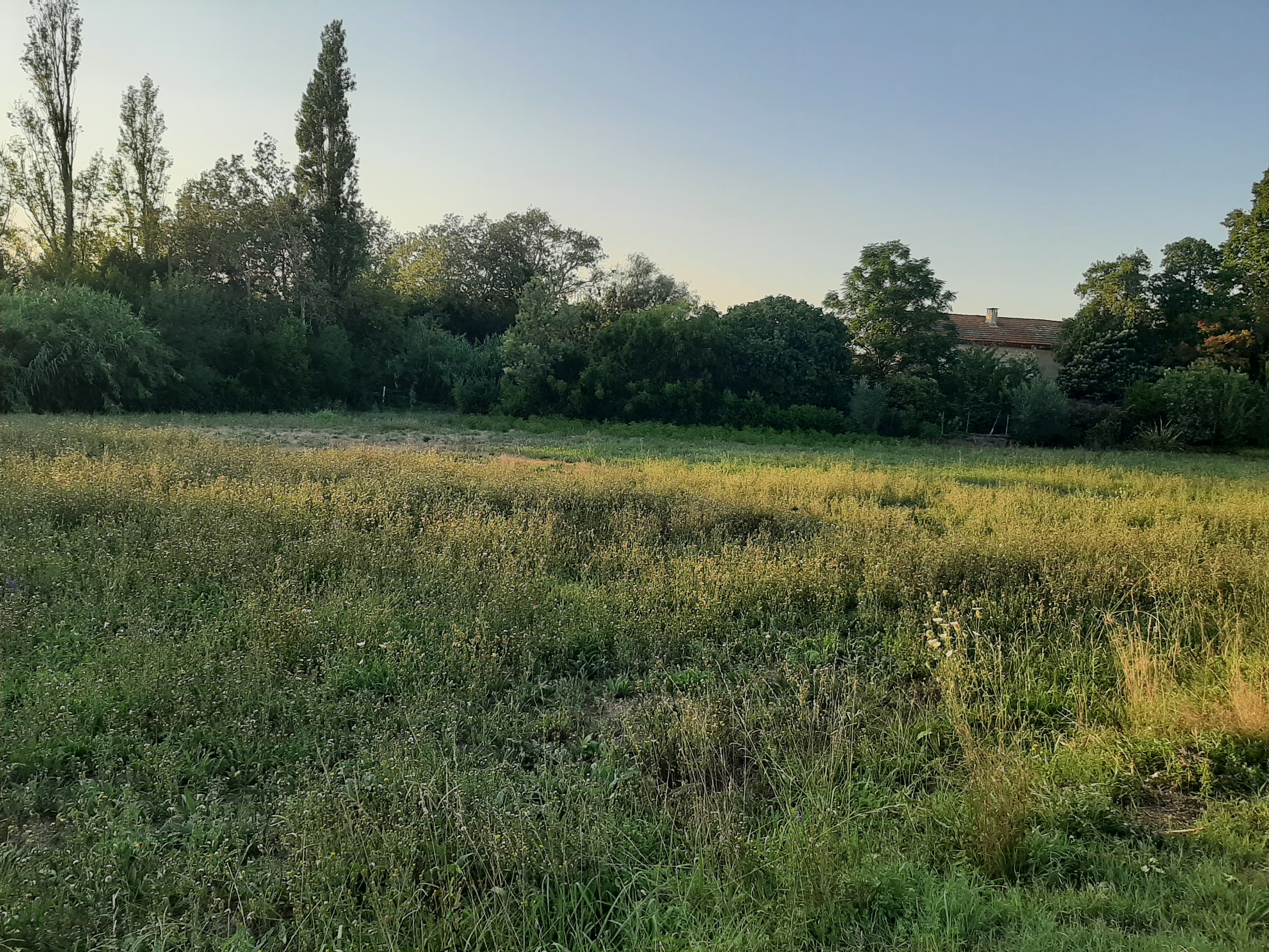 Terres agricoles - 2.7 ha - Arles - Image 4