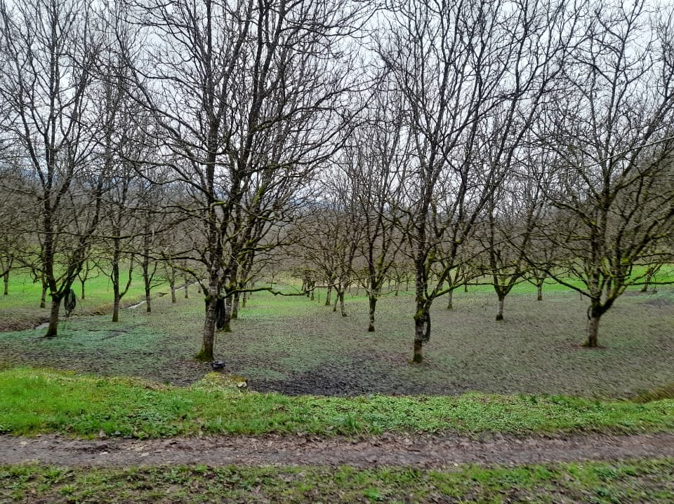 Terres agricoles - 1.5 ha - Arques