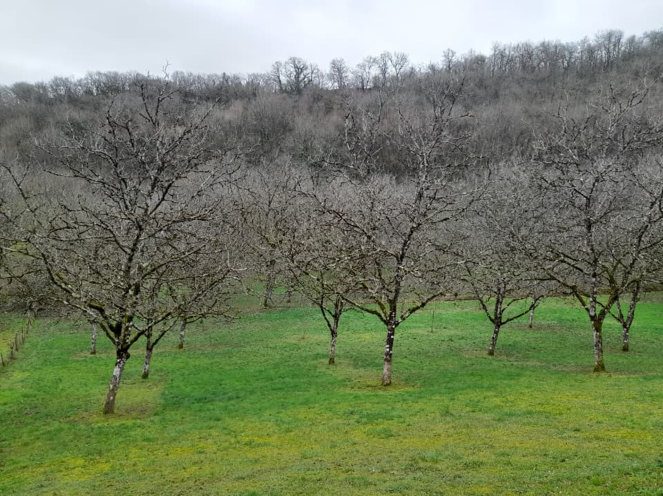 Terres agricoles - 1.5 ha - Arques - Image 2