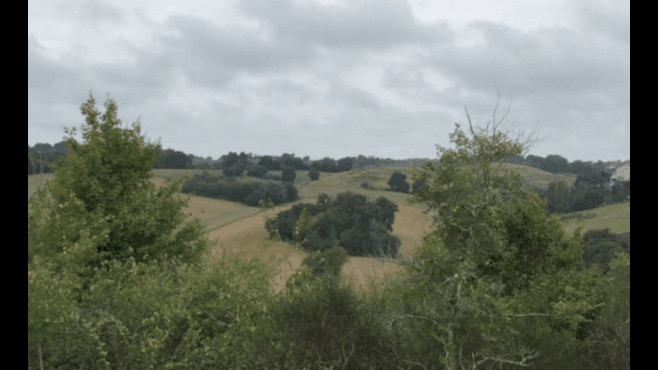 Terres agricoles - 50.0 ha - Bassoues