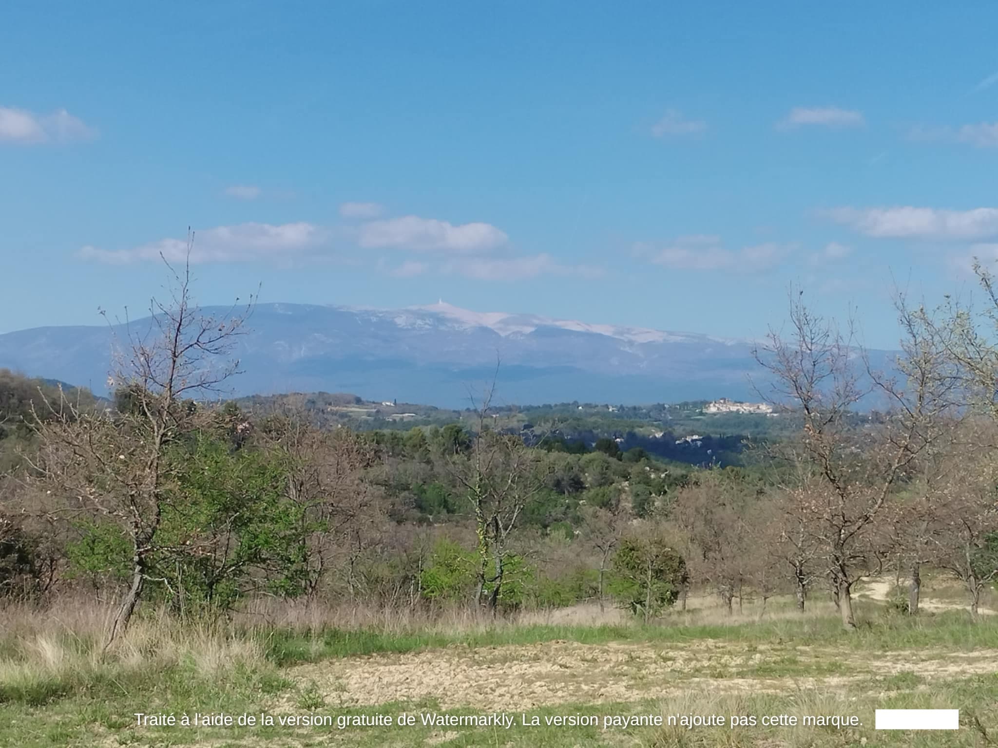 Forêt - 3.8 ha - Chemin du Vas - Image 4