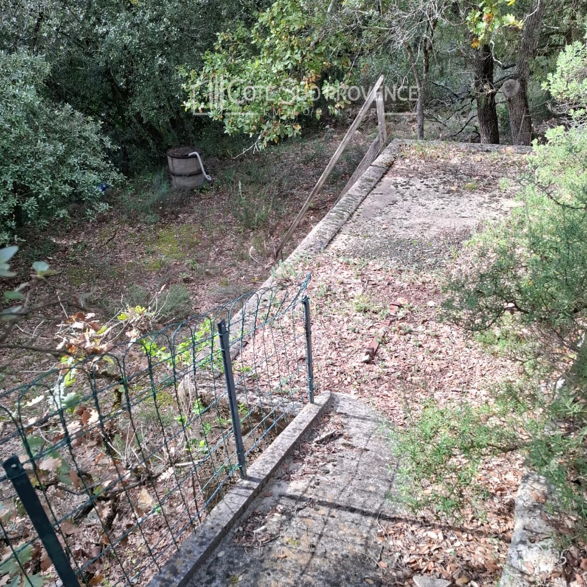 Forêt - 3.8 ha - Chemin du Vas
