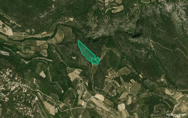 Forêt - 3.8 ha - Chemin du Vas - Image 6