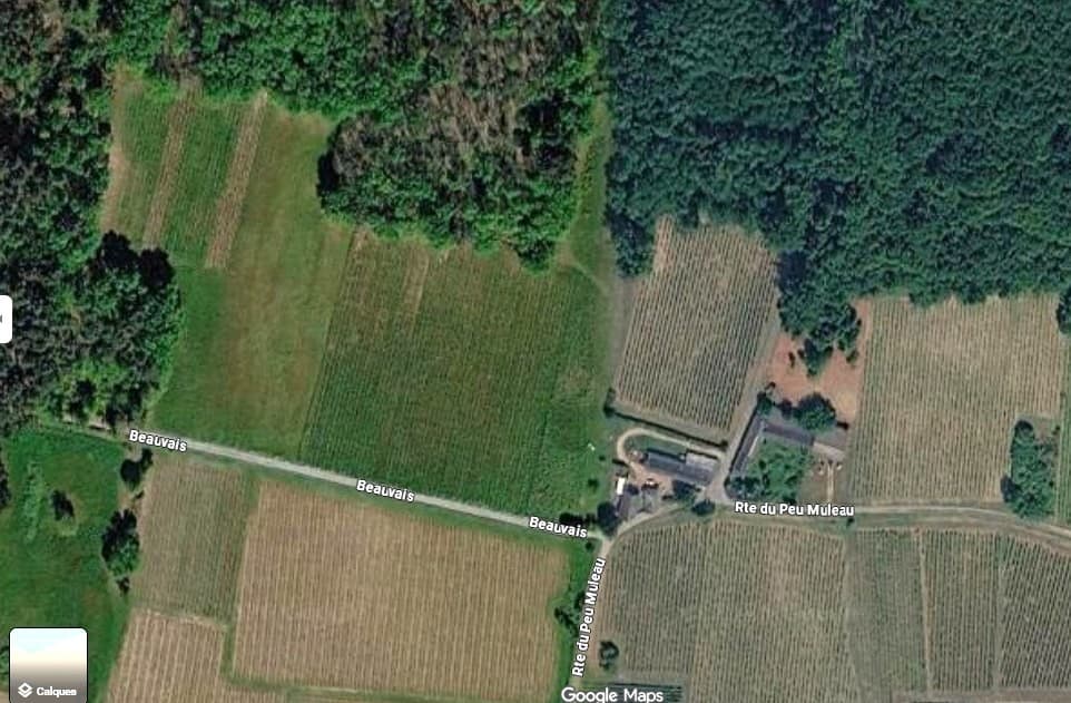 Terres agricoles - 0.7 ha - Restigné - Image 2