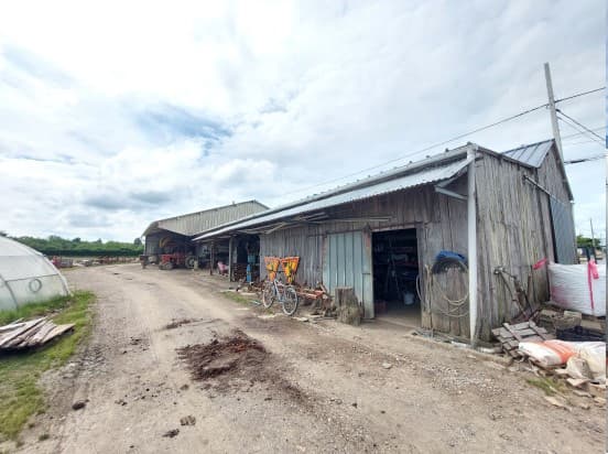 Exploitation Maraîchère/horticulture - Terres agricoles et clientèle - 6.2 ha - - Image 13