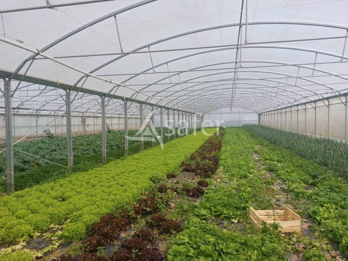 Exploitation Maraîchère/horticulture - Terres agricoles et clientèle - 6.2 ha - - Image 7