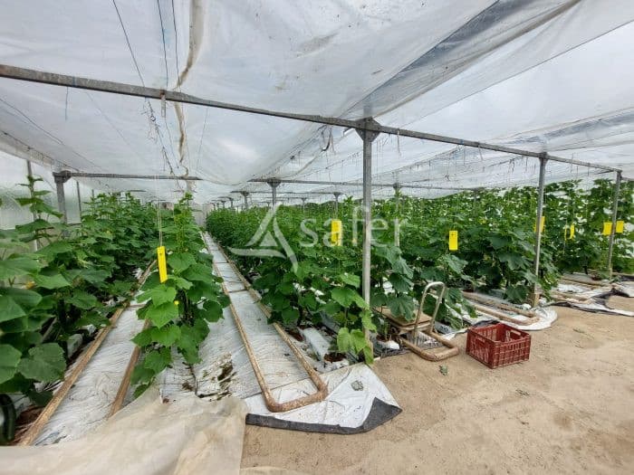 Exploitation Maraîchère/horticulture - Terres agricoles et clientèle - 6.2 ha - - Image 9