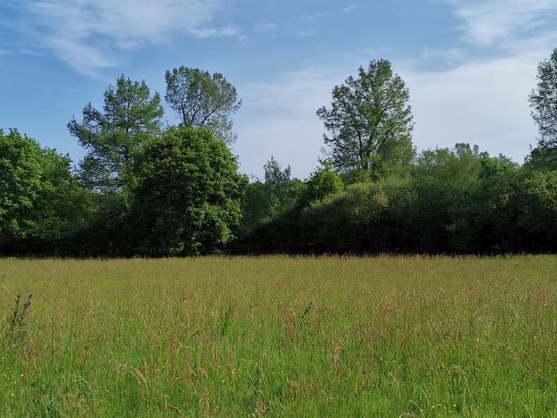 Terres agricoles - 8 ha - Saint-Maurice-la-Clouère