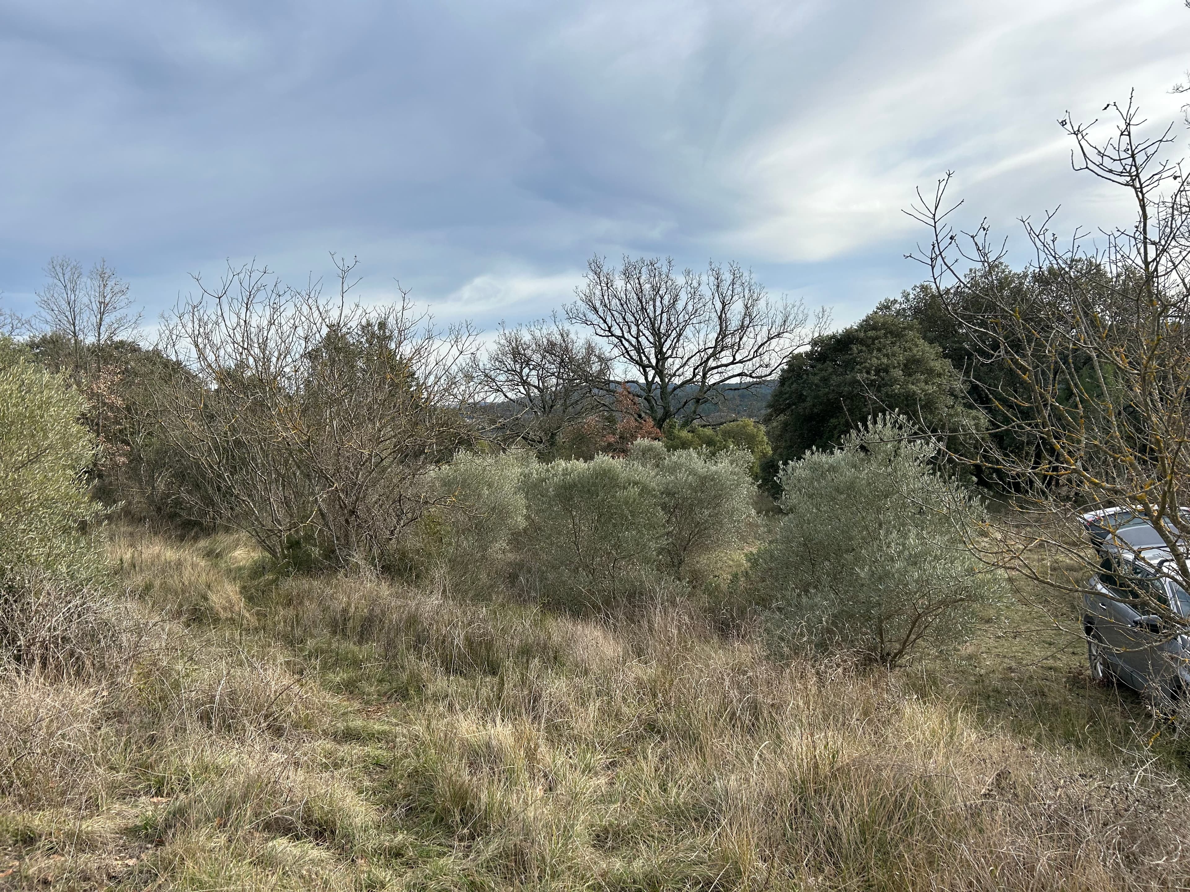 Terres agricoles - 0.3 ha - Rians - Image 9