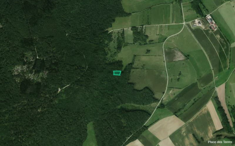 Forêt - 0.3 ha - Isches - Image 3