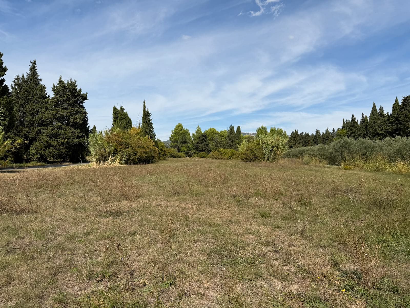 Terres agricoles - 0.6 ha - Aubignan