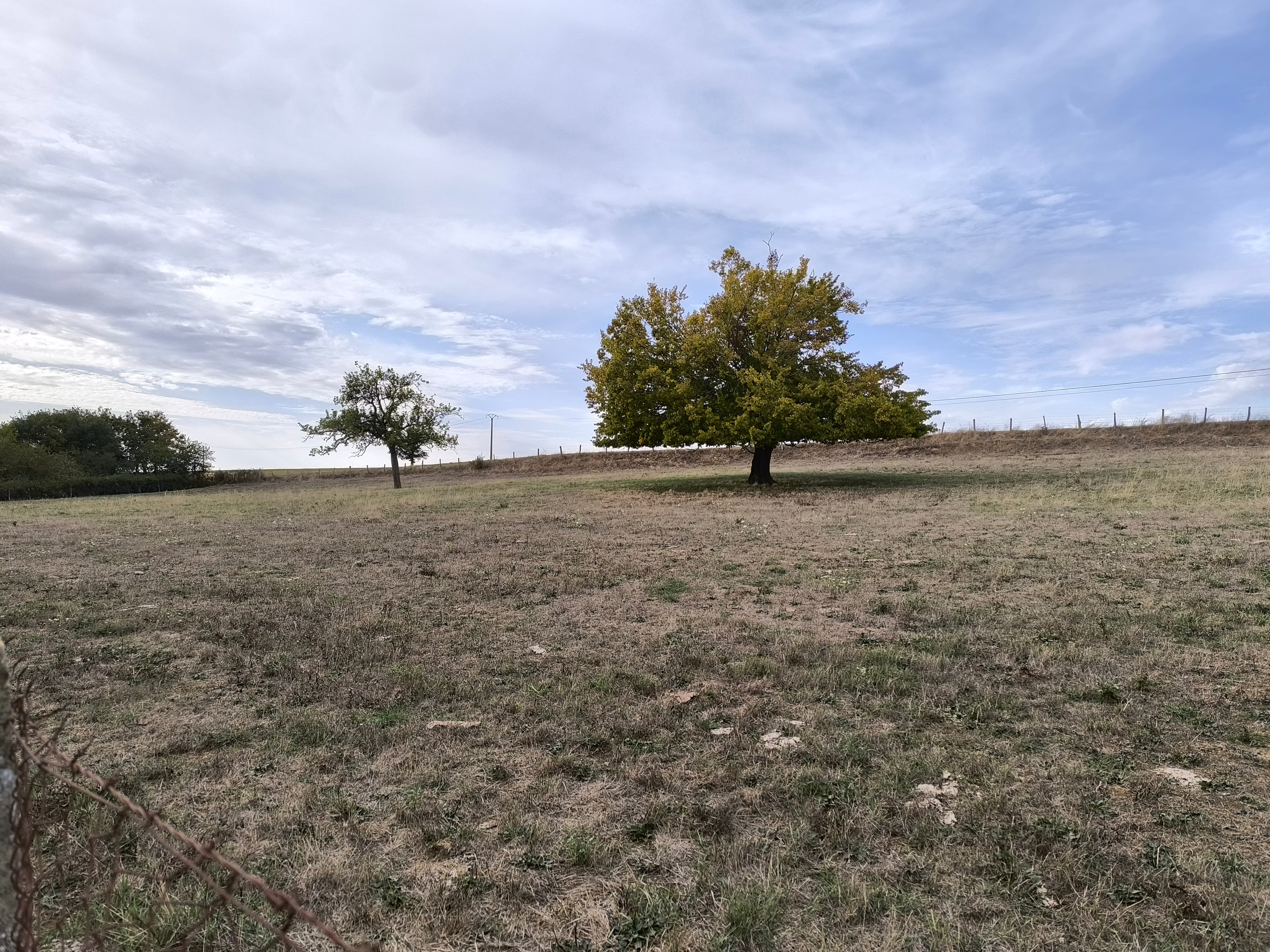Prairies d'élevage - 0.8 ha - Châtillon-en-Bazois