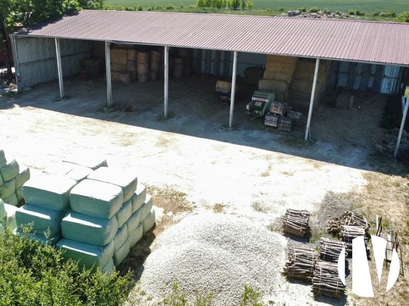 INDRE : Exploitation d’élevage caprin - Image 3