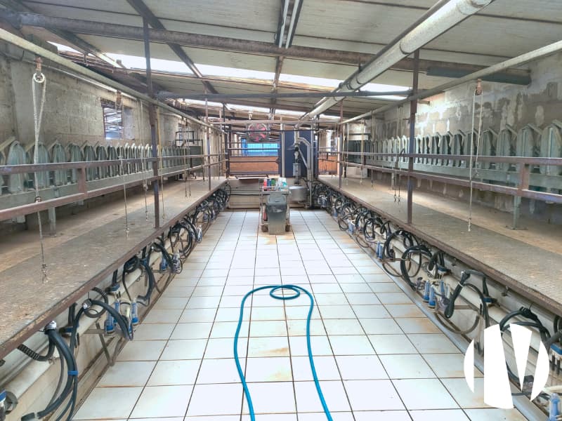 INDRE : Exploitation d’élevage caprin - Image 6