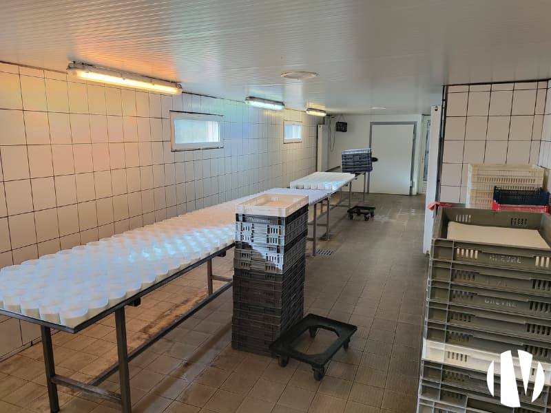 INDRE : Exploitation d’élevage caprin - Image 5