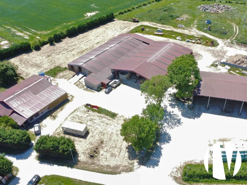 INDRE : Exploitation d’élevage caprin