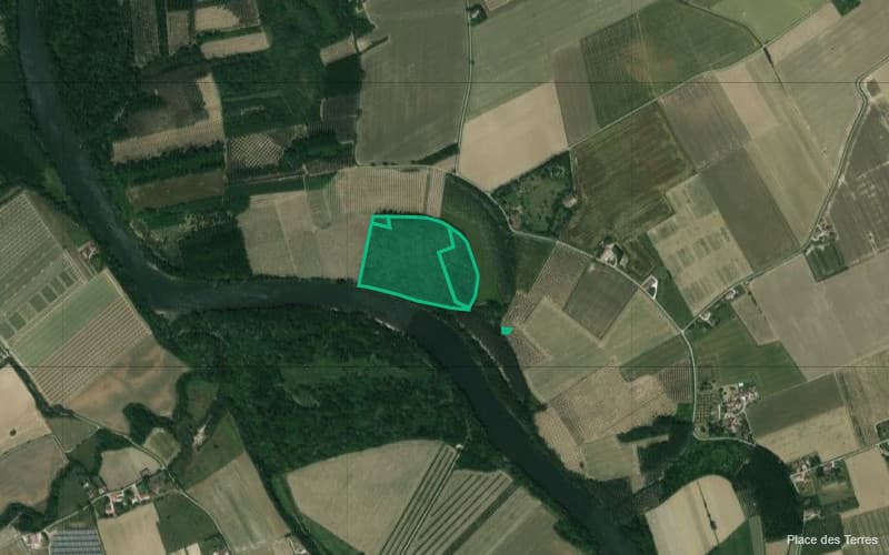 Forêt - 8.2 ha - Verdun-sur-Garonne - Image 2