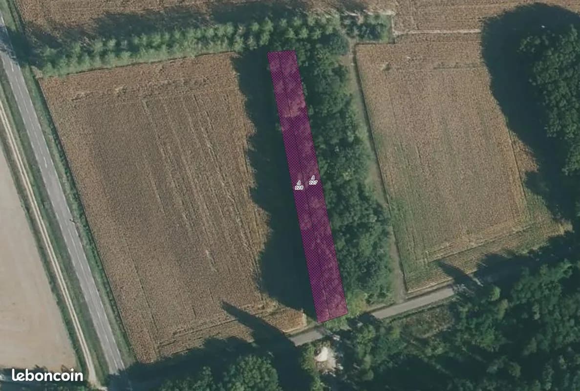 Forêt - 0.2 ha - Glanon - Image 2